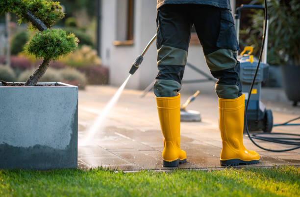 Best Pressure Washing Near Me  in Allison, IA